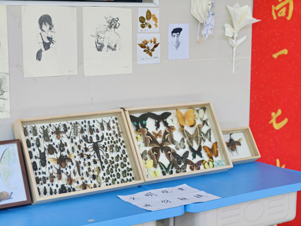 图 3 高一 7班昆虫展.jpg