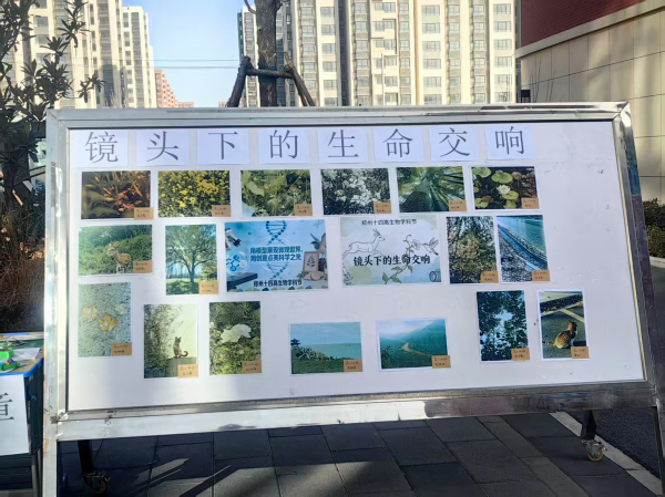 作品展示 (2).jpg